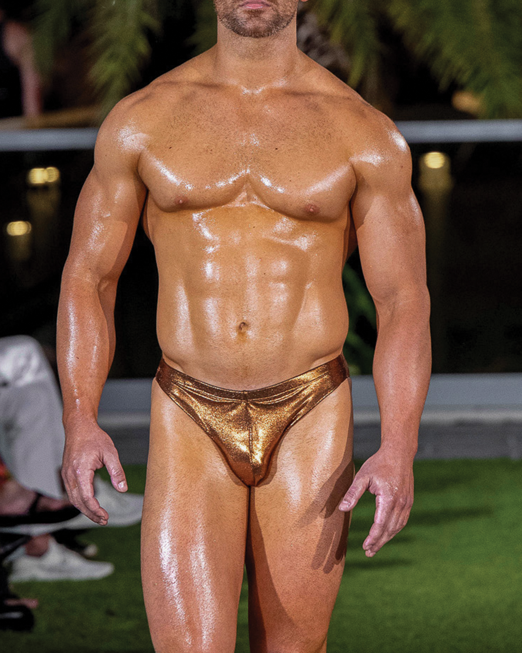 Strut Swim Brief - Metallic Rocky